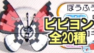 【ポケモンXY】 ビビヨン全種コンプリート！！ 全模様一覧！！ 【モンボビビヨン】 Pokémon X and Y All 20 Vivillon Patterns [upl. by Akenor809]