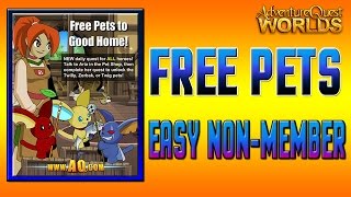 FREE NONMember PETS AQW ✰ [upl. by Garrot]