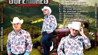 Oscar Olivas  Superiores De Sinaloa 2016 Tololoche [upl. by Meibers]