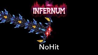 Terraria Calamity Infernum Adult Eidolon Wyrm NoHit  Mage [upl. by Web368]