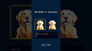 box shadow and drop shadow in css webdevelopment html css htmlcss cssproperty webdesign [upl. by Aray]