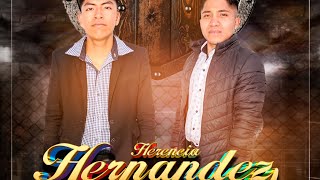 Tee yanka  órgano Herencia Hernandez video oficial [upl. by Noyk]