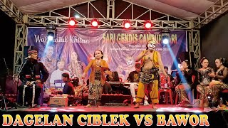 LUCU❗CIBLEK VS BAWOR BARENG SARI GENDIS [upl. by Hukill]