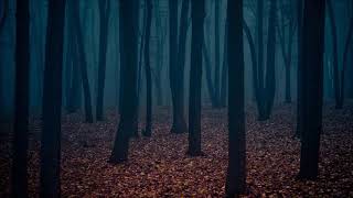 Free Horror Ambiance  Ominous Background Music [upl. by Dunc]