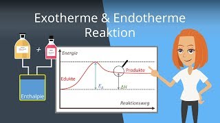 Exotherme und Endotherme Reaktionen  Beispiele und Energiediagramme [upl. by Nimra]