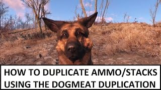 Fallout 4  Duping Stacks and Ammo using Dogmeat [upl. by Halonna]