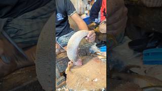 Amazing Poa Fish Cutting Skills In Bangladesh Local Fish Market shorts [upl. by Adnoral858]