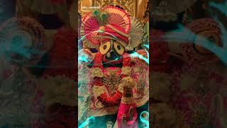 Jay Jagannath statusNew odia status videoOdia bhajan status [upl. by Haianeb408]