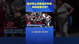 纽约停止资助庇护移民，向特朗普示好？ [upl. by Camroc319]