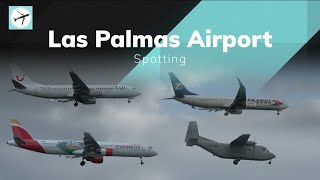 B789 A332 A321 B739ER A320 B738 A319 ATR72 C212  Las Palmas Airport  Spotting [upl. by Hardigg]