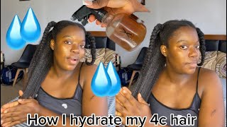 HOW TO MOISTURIZE 4C HAIR IN 3 EASY STEPS [upl. by Ranique302]