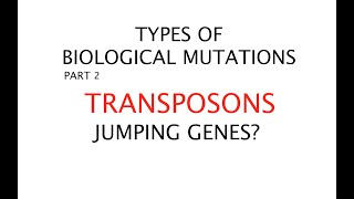 Transposons Types of biological mutations P2 32 [upl. by Raphaela]