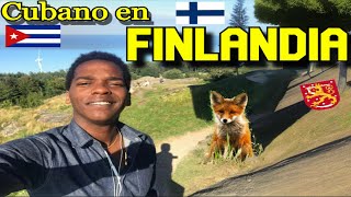 8 COMO LLEGUE A FINLANDIA 🇫🇮  EL FINAL DE UN VIAJE 🧳 [upl. by Darce]