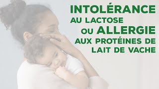 Intolérance au lactose ou allergie aux protéines de lait de vache  Différenciezles avec Blédina [upl. by Rudolfo]