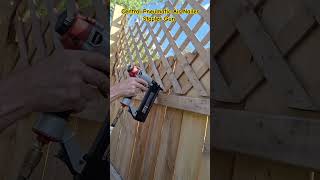 Central Pneumatic Air Nailer Stapler Gun airnailer staplegun shortsfeed shorts [upl. by Stoops]