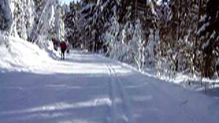 Langlaufen Bayerischer Wald Lalling Skigebiet DeggendorfRuselOberbreitenau [upl. by Niamrahc]