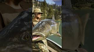 Sidewinder The Legend Of GRR COTW The Angler cotwtheangler fishing [upl. by Keyser492]