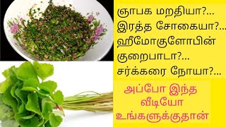 வாரம் ஒரு முறை இத கட்டாயம் செஞ்சி சாப்பிடுங்க  வல்லாரை கீரை மாசி சம்பல்Vallarai Recipe in tamil [upl. by Millhon]