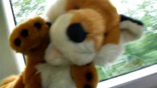 Foxy on the train to Gatwick Airport [upl. by Sussman]