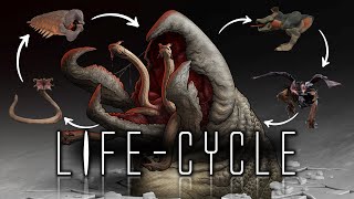 Graboids  6 Stage life cycle  Origins Explained [upl. by Caprice892]