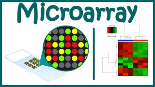 Microarray Technique  DNA Microarray  Gene expression analysis using microarray [upl. by Elleiand753]