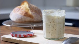 Stop Wasting Time amp Flour Maintaining A Sourdough Starter This Strategy is Way Better [upl. by Alleciram]