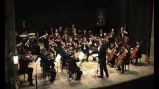 Brahms Hungarian Dance 5  6 Cecchetto [upl. by Atik616]