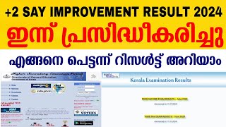 plus two say improvement result published 2024  how to check plus two say improvement result 2024 [upl. by Andromache135]