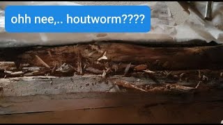 Wonen in Zweden ohh nee houtworm vlog63 [upl. by Matthaus]