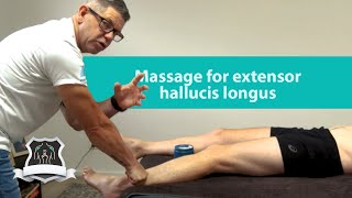 Massage for extensor hallucis longus  Trigger point therapy [upl. by Yenduhc662]