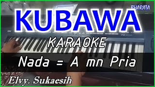 KUBAWA  Elvy sukaesih KARAOKE COVER Pa800 nada PRIA [upl. by Fiden]