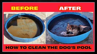 The Easiest Way I Clean My Dogs Pool 🐶 [upl. by Queri208]