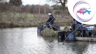 Mosellas Young Guns At Heronbrook Fishery [upl. by Goody135]