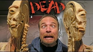 REAL DEAD BODIES in VEGAS [upl. by Ev]