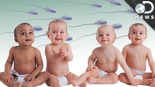 The Disturbing Truth About Sperm Banks [upl. by Agni]