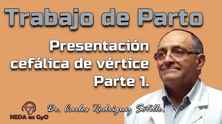 Trabajo de parto en presentación cefálica de vértice Parte 1 Ginecología y Obstetricia 1 [upl. by Noit]