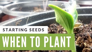 When to Start Seeds for Spring Gardens [upl. by Aicala]