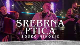 BOŠKO NIKOLIĆ i ORKESTAR KRALJEVI  SREBRNA PTICA COVER [upl. by Jepum]