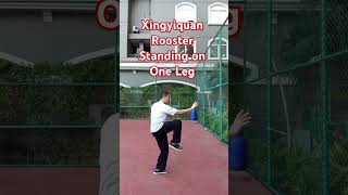 Xingyiquan Rooster Jin Ji Du Li xingyiquan olahraga sports motivation music [upl. by Atikal]