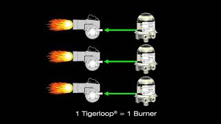 Tigerloop Advanced Information NORA version 4 [upl. by Eenaffit]