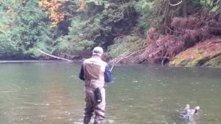 Little Qualicum fly fishing [upl. by Rhine]