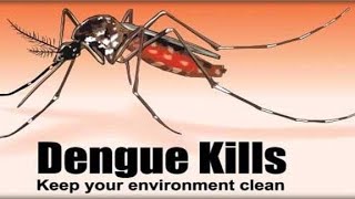 Dengue awareness programme at NIPSOM [upl. by Asiruam]