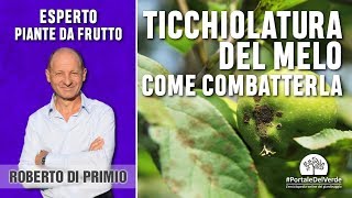 Come si combatte la ticchiolatura del melo [upl. by Abba]