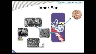 Sound and Noise Basics  SKCs Andy Bragg  RAECO Rents Webinar [upl. by Ahsiatal]