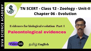 05 Evidences for biological evolution  Paleontological evidences  Chapter06  Zoology  TN SCERT [upl. by Attekal133]