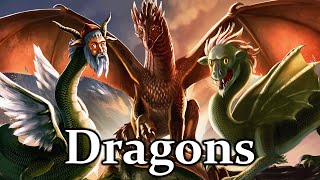 Dragons  The History amp Origin Stories You Were Never Told [upl. by Nelac823]