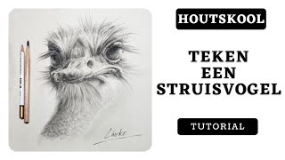 Hoe teken je een Struisvogel met houtskool [upl. by Trever351]