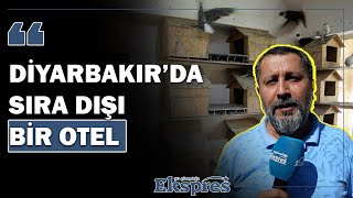 Diyarbakır’da sıra dışı bir otel KUÇE  Ekspres Haber [upl. by Atirabrab376]