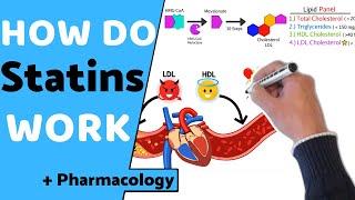 How do Statins Work  Pharmacology [upl. by Meggy25]