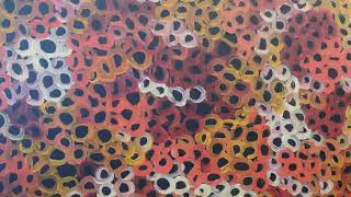 Australian Aboriginal Art Styles amp Exhibitions [upl. by Atekram80]